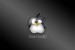 apple+linux